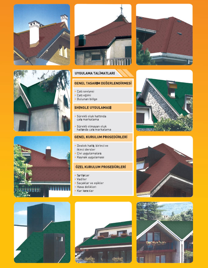 Shingle Shingle